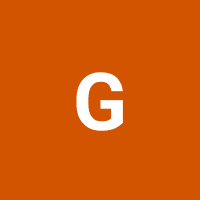 Avatar for 0xGondar