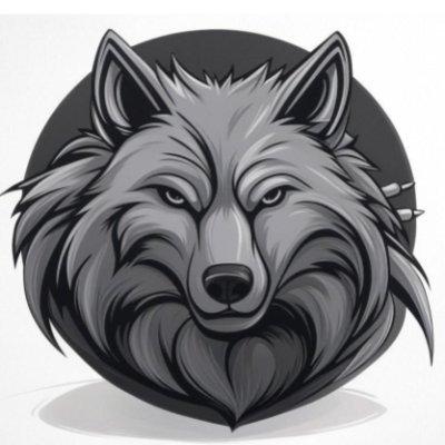 Avatar for 0xGreyWolf