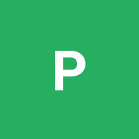 Avatar for 0xPacelli