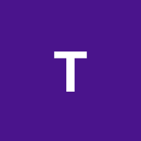 Avatar for 0xTraub