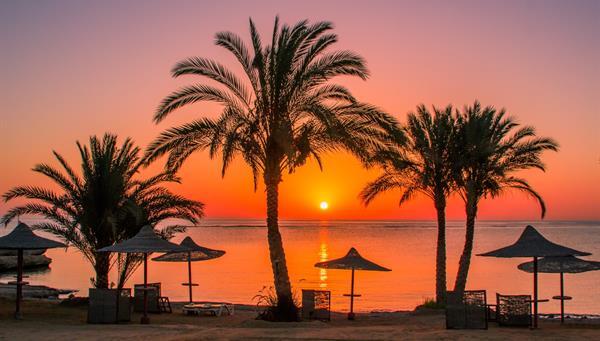 Avatar for 0xkeepfighting