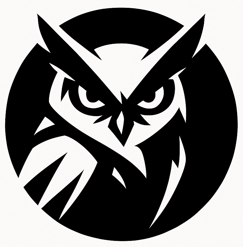 Avatar for 0xnightswatch