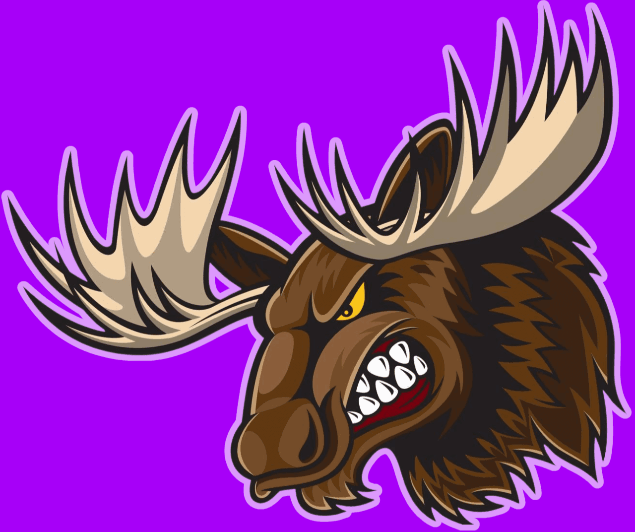 Avatar for CrazyMoose