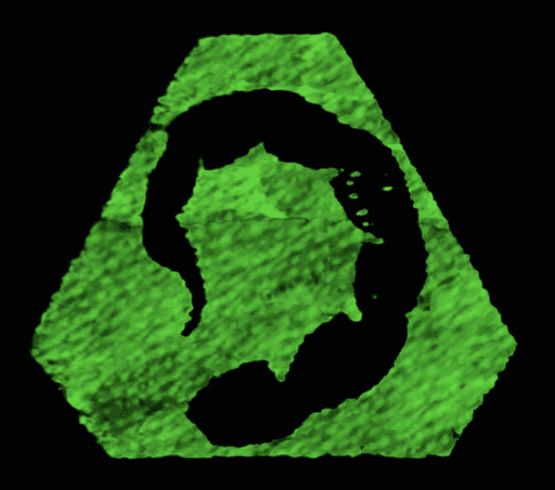 Avatar for CryptoCraze