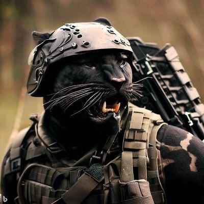 Avatar for CyberNerd