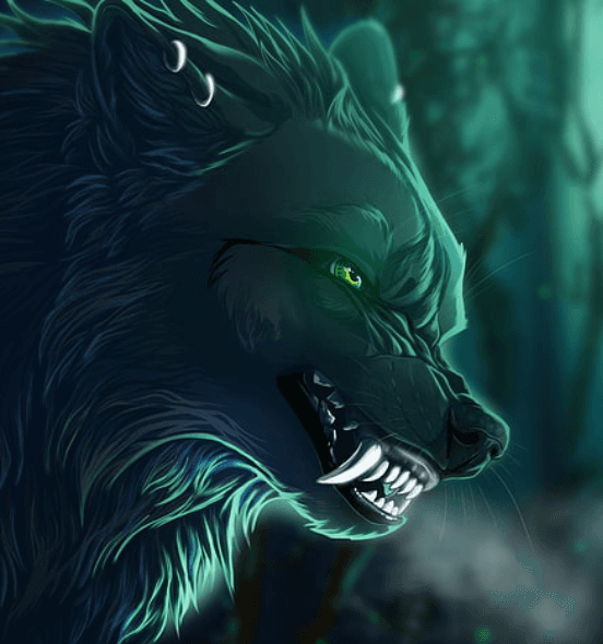 Avatar for D1r3Wolf