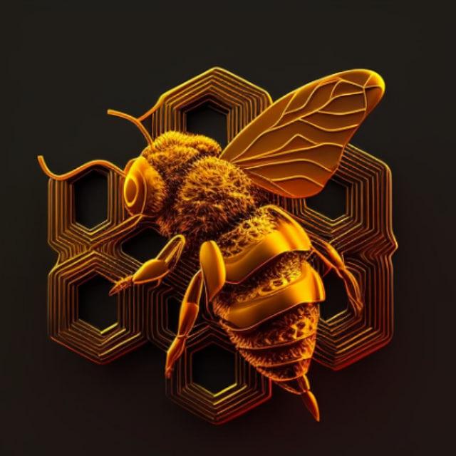 Avatar for Haipls