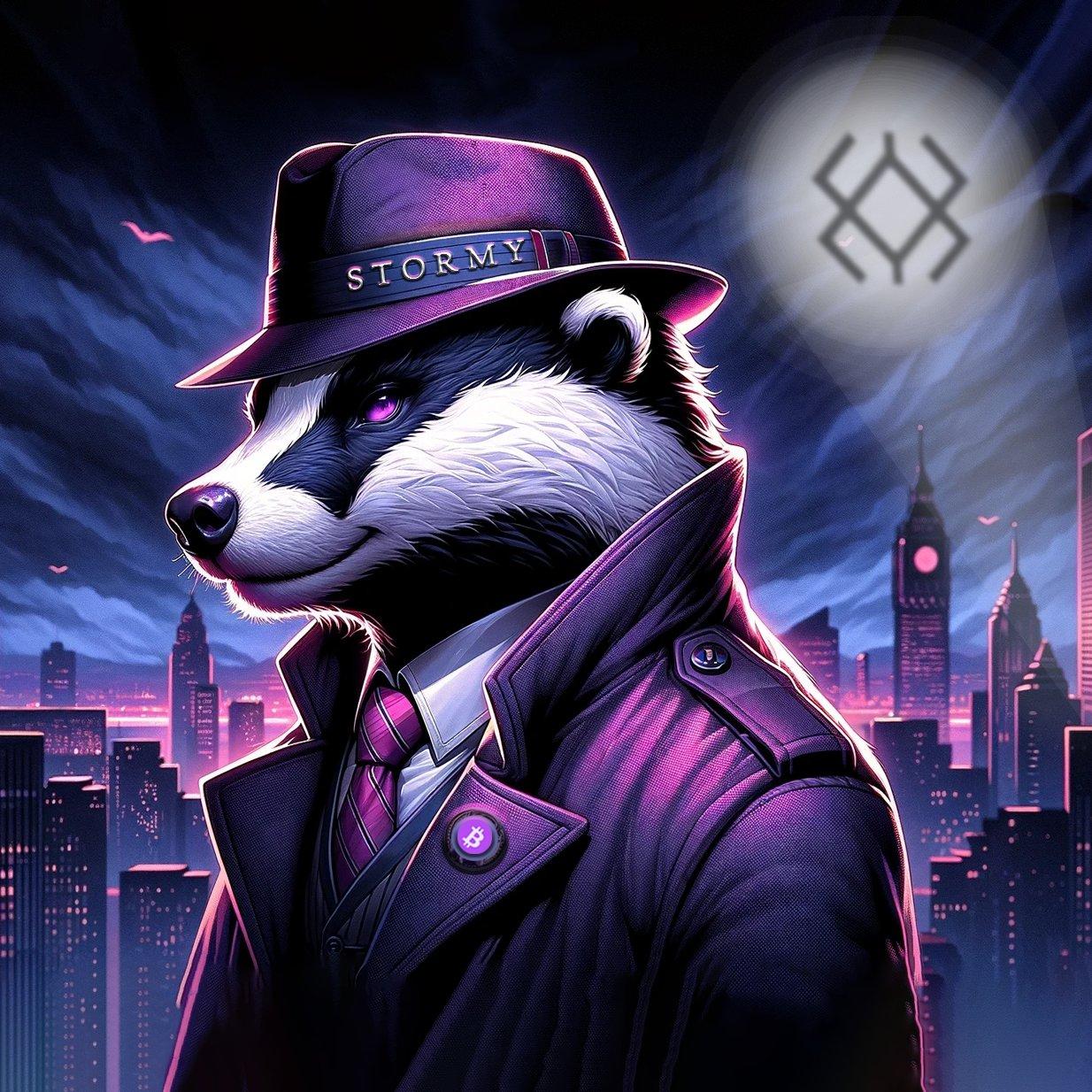 Avatar for Stormy