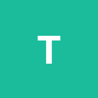 Avatar for Taiger
