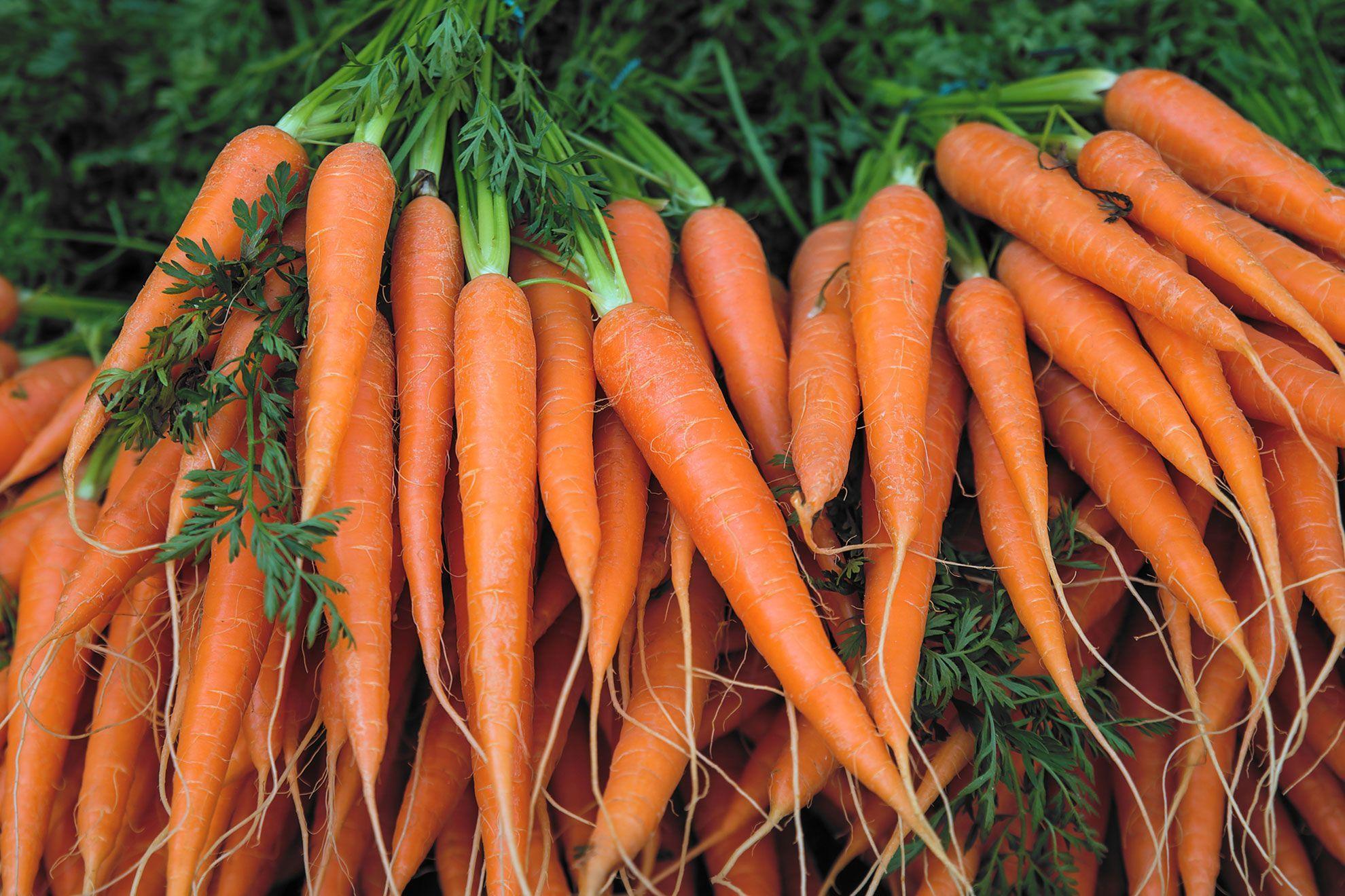 Avatar for TheCarrot