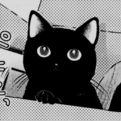 Avatar for cats