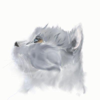 Avatar for cccz