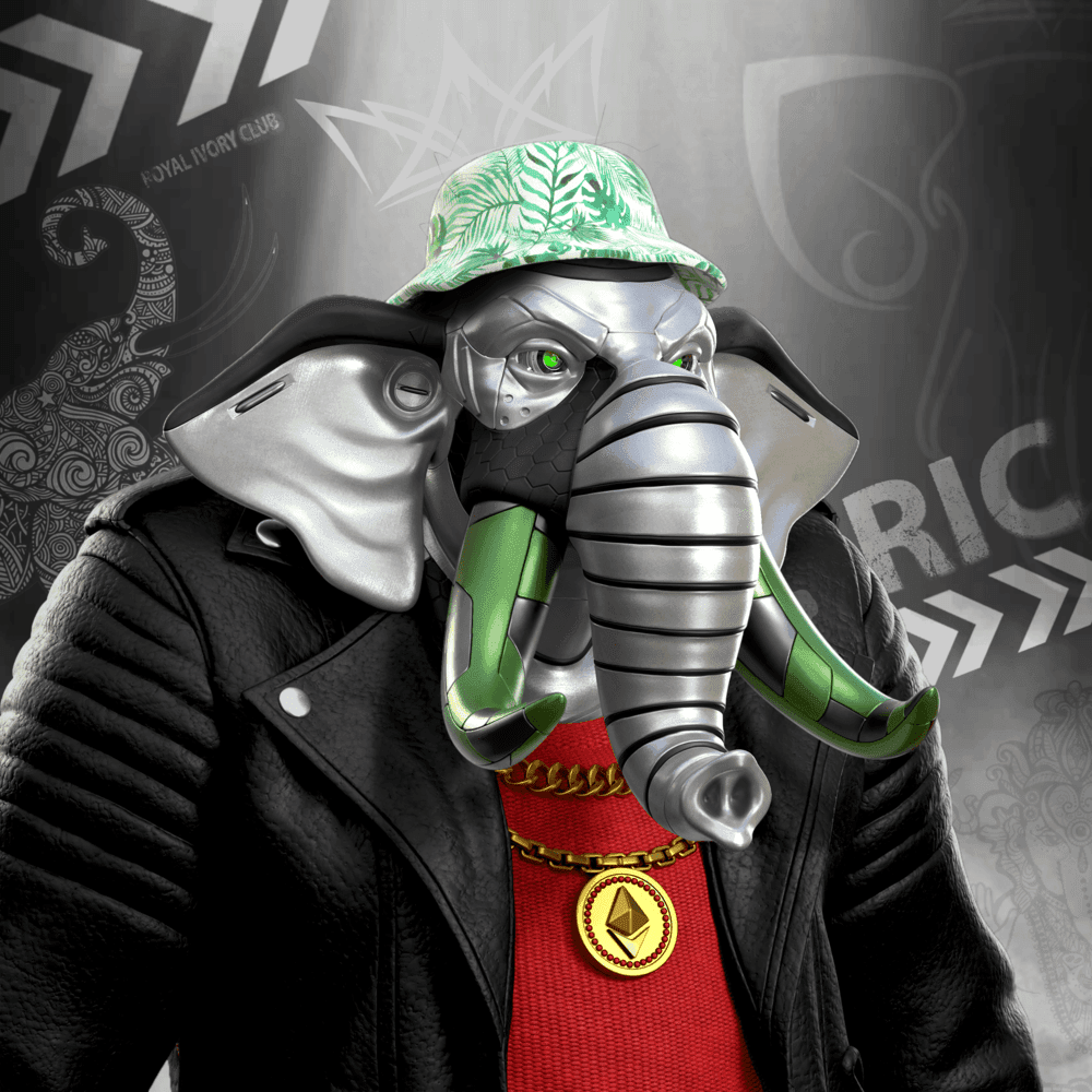 Avatar for ebok21