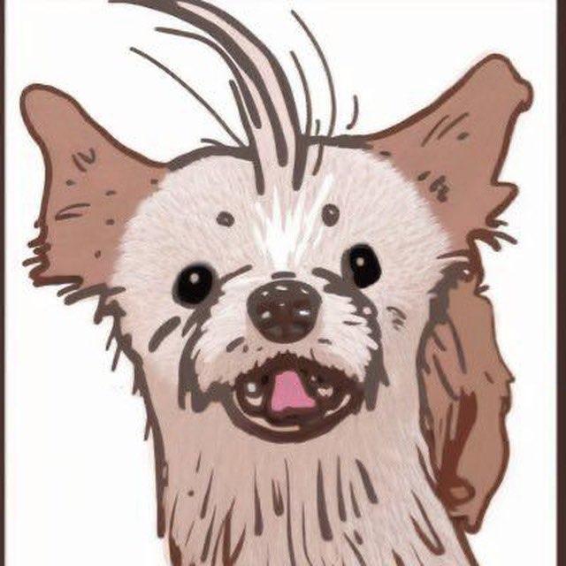 Avatar for forkforkdog