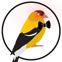 BowTiedOriole