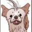 forkforkdog