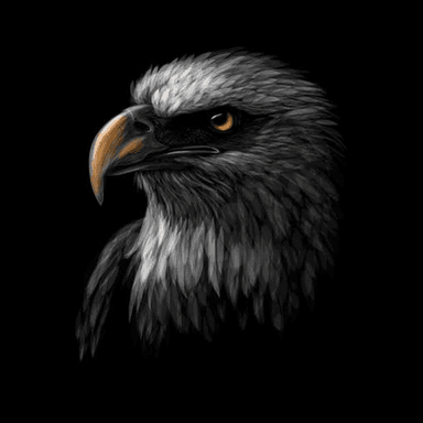 Shaheen
