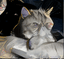smiling_heretic