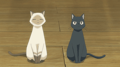 CatsSecurity