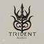 Trident-Audits