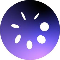 LoopFi